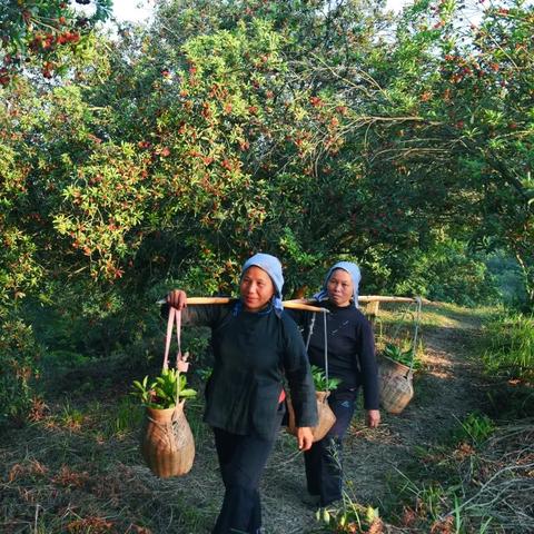 靖州最新动态,抖音平台发布最新消息,内容更新中