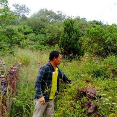 2018河南新闻头条,关于河南省的新闻头条