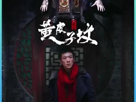 黄皮子坟手游同下载微信 官方信官方,揭秘一款宝藏级小众软件——定制版_v2.805